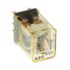 Relay Rele RM2S-U-DC24 DPDT 5A 24VDC